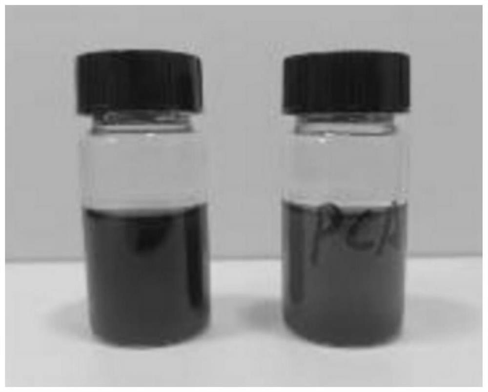 Modified polyphenol amine material as well as preparation method and application thereof