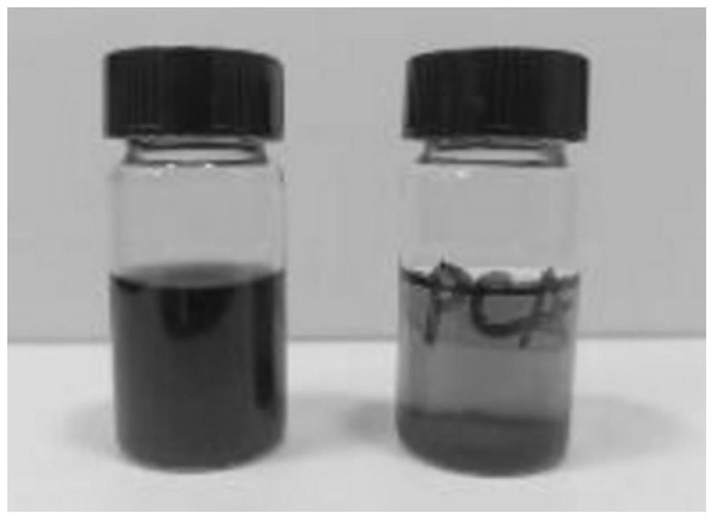 Modified polyphenol amine material as well as preparation method and application thereof