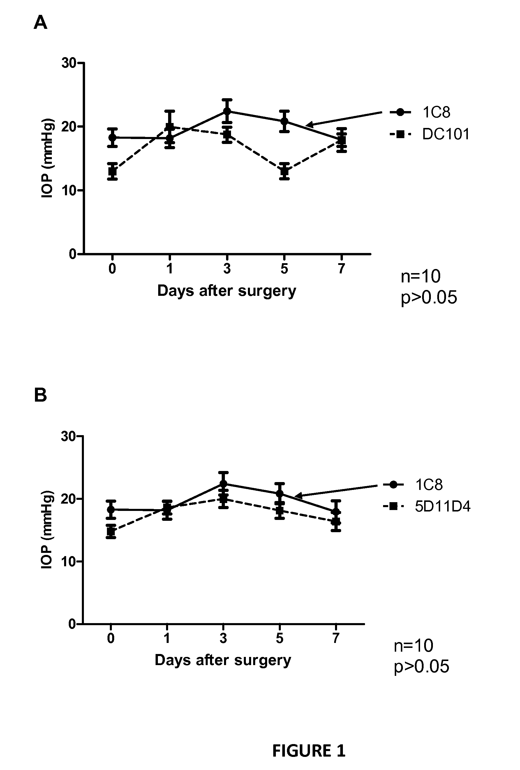 Improving trabeculectomy outcome by administering an anti-placental growth factor antibody