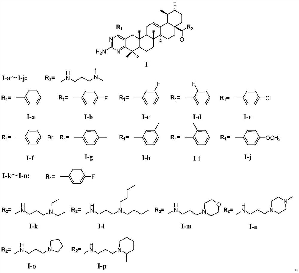 Ursolic acid pyrimidine amide derivative as well as preparation method and application thereof