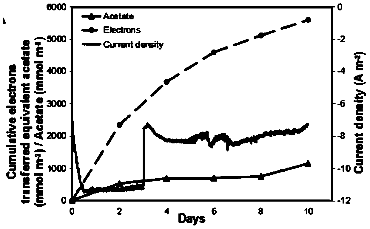 A graphene-copper foam composite cathode to improve bioreduction of CO  <sub>2</sub> Method for electrosynthesis of acetic acid