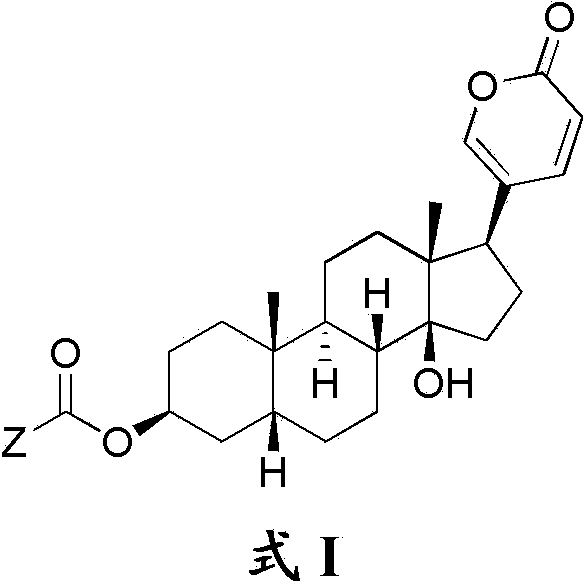 Bufalin derivatives, pharmaceutical compositions and methods thereof