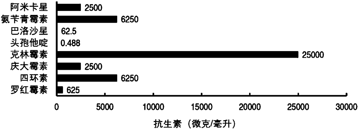 Preparation jointly using glycine and amoxicillin