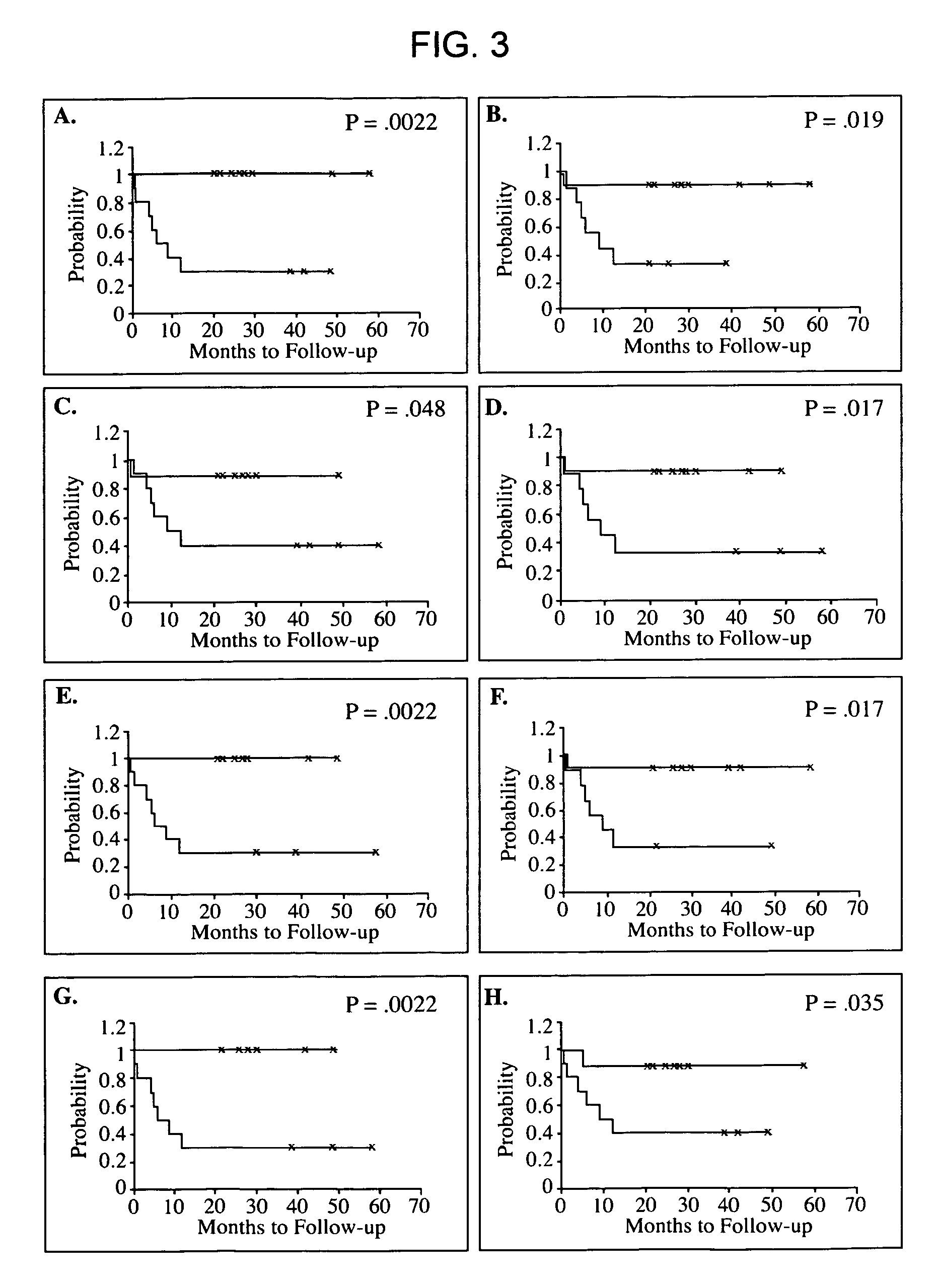 Methods and compositions for evaluating graft survival in a solid organ transplant recipient