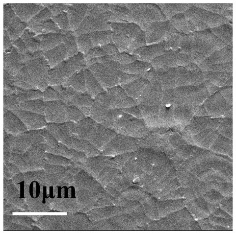 Method for preparing large-area semitransparent perovskite thin film by using scraper coating method and application of large-area semitransparent perovskite thin film