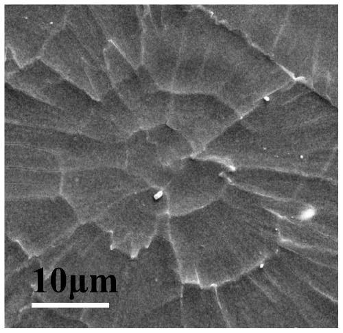 Method for preparing large-area semitransparent perovskite thin film by using scraper coating method and application of large-area semitransparent perovskite thin film