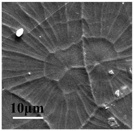 Method for preparing large-area semitransparent perovskite thin film by using scraper coating method and application of large-area semitransparent perovskite thin film