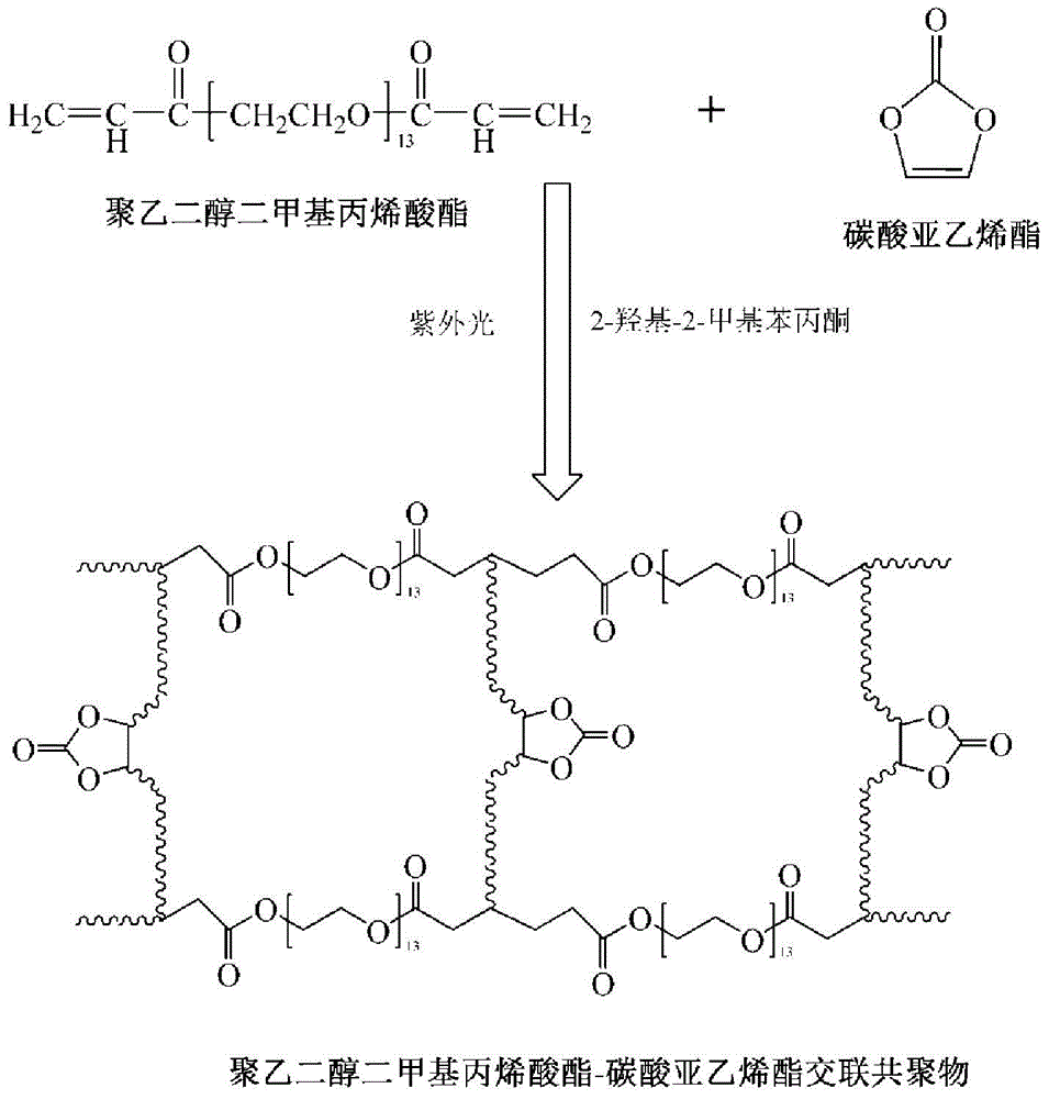 Preparation method of semi-interpenetrating network polymer gel electrolyte membrane