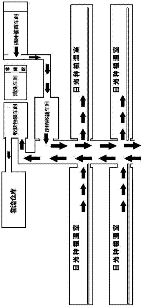 Automatic aeroponic vegetable planting and harvesting production line