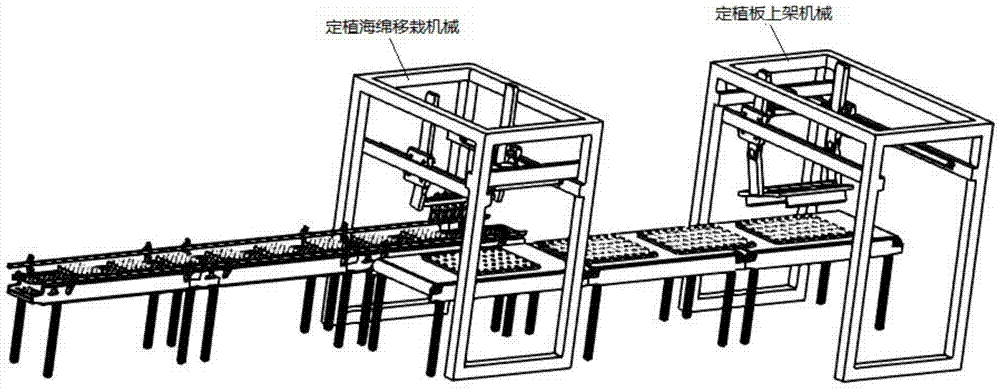 Automatic aeroponic vegetable planting and harvesting production line