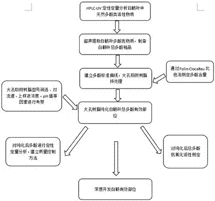 Technology for separating and purifying total polyphenols in Acanthopanax trifoliatus leaves