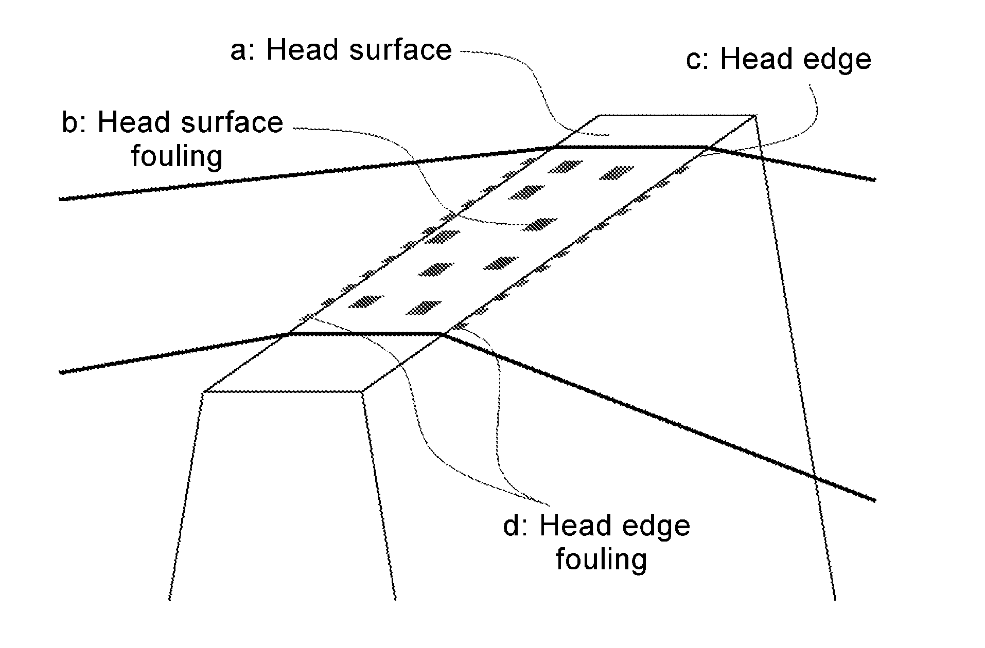 Magnetic recording medium