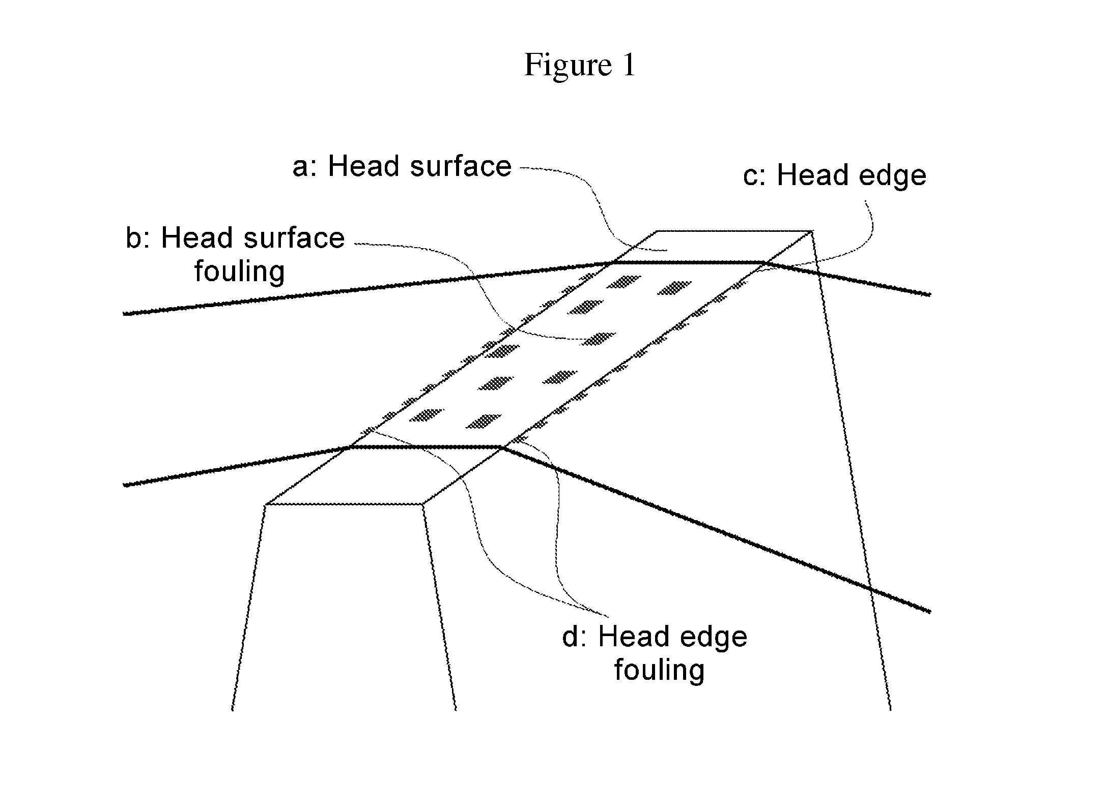 Magnetic recording medium