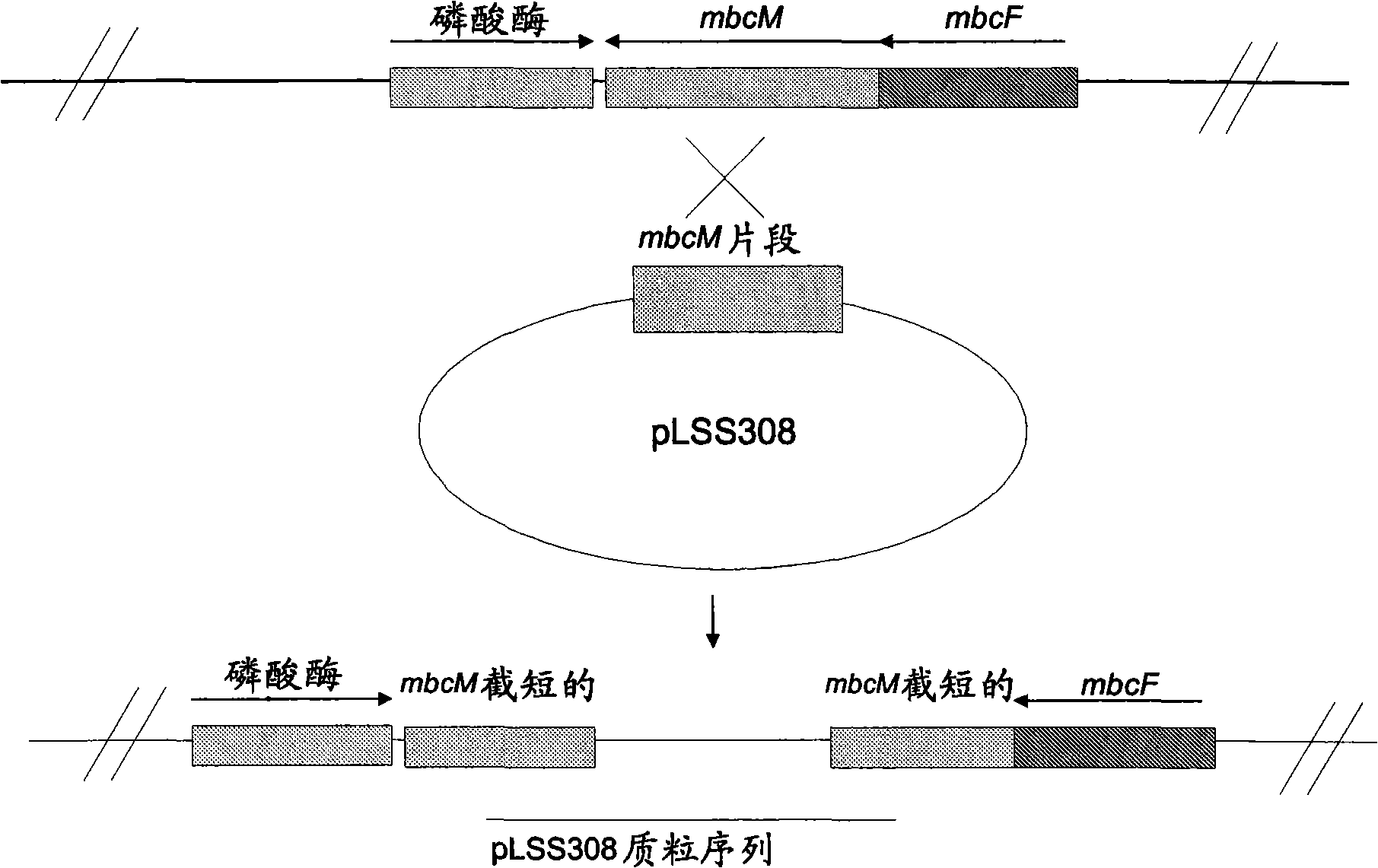 21-deoxymacbecin analogues useful as antitumor agents