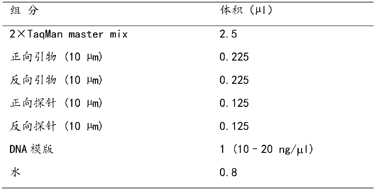 SNP marker for colorectal cancer auxiliary diagnosis and application of SNP marker