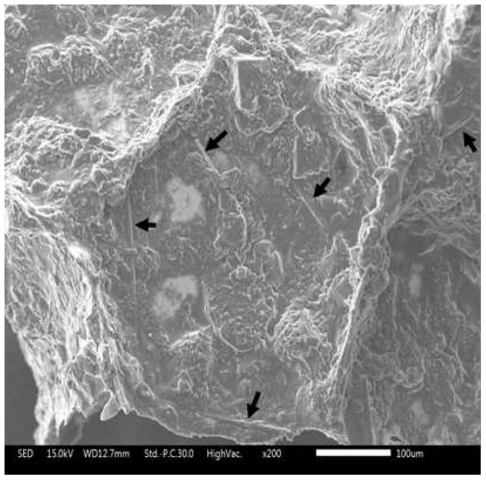 A new type of inorganic insulation board prepared by foaming perlite powder at room temperature and its preparation method