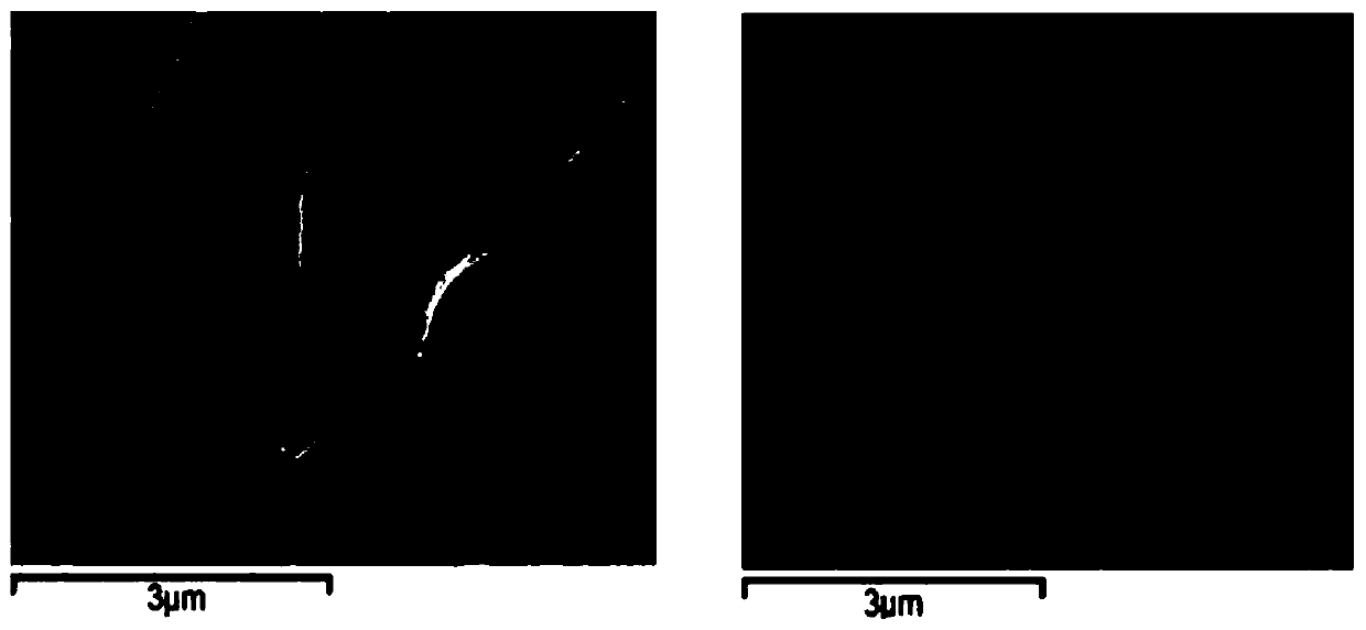 Graphene adsorption multi-component chiral catalyst and application thereof in asymmetric hydrogenation