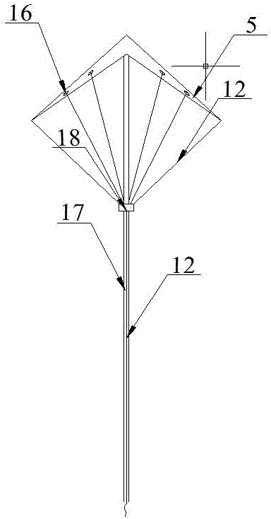 Ultrasonic excited roof (coal) caving apparatus and method thereof