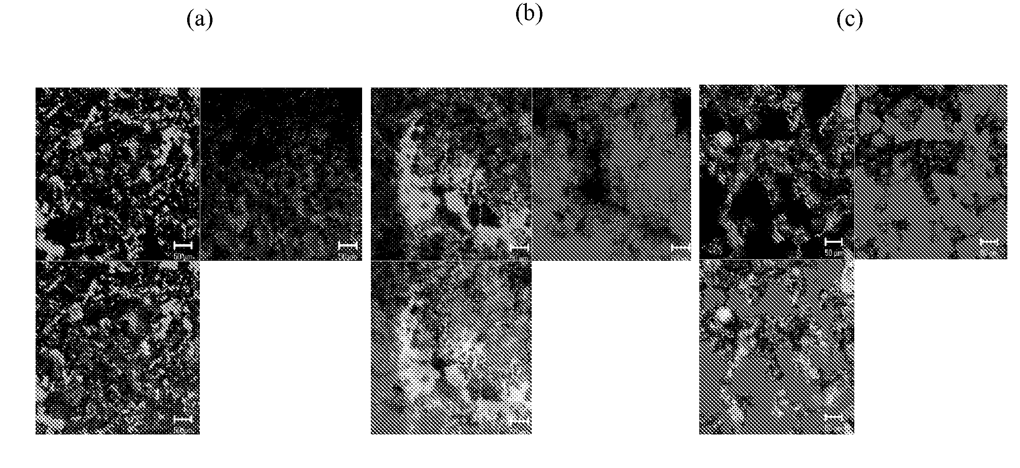 Injectable polymer-lipid blend