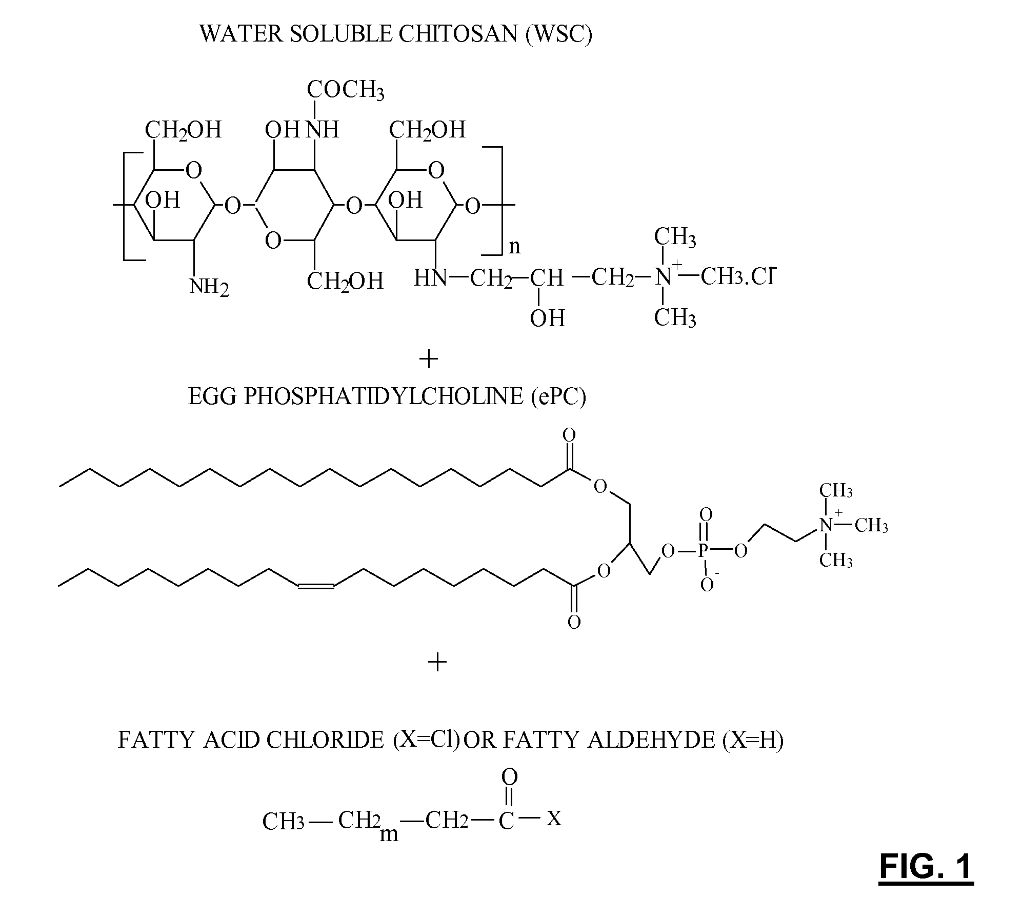 Injectable polymer-lipid blend