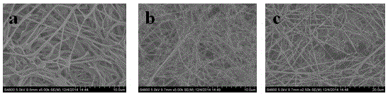 Method for preparing mineral collagen coating on surface of medical implantation body