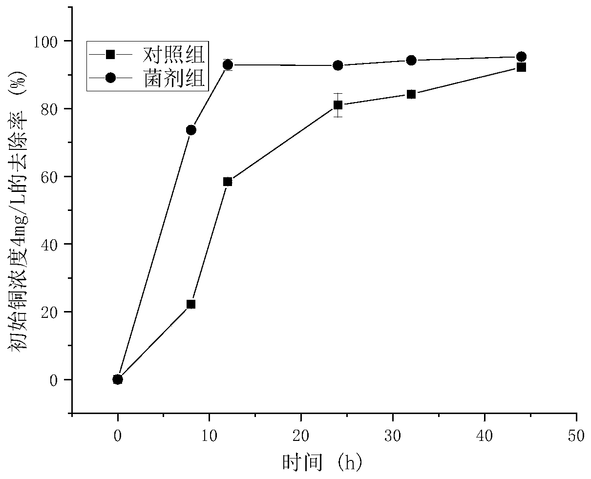 Dry powder bacterial agent for removing low-concentration copper ions in wastewater