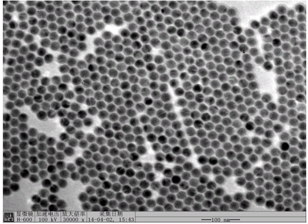 Method for preparing gain medium of polymer optical waveguide amplifier by copolymerizing rare-earth nanoparticles and monomers