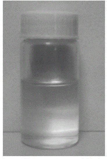 Method for preparing gain medium of polymer optical waveguide amplifier by copolymerizing rare-earth nanoparticles and monomers