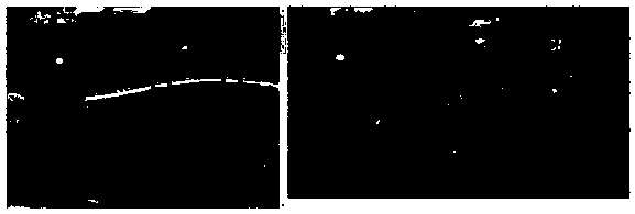 Combined interactive base map updating method and device