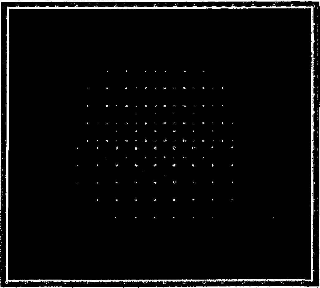 Color filter arrays and image sensors using the same