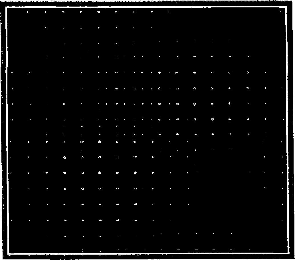 Color filter arrays and image sensors using the same