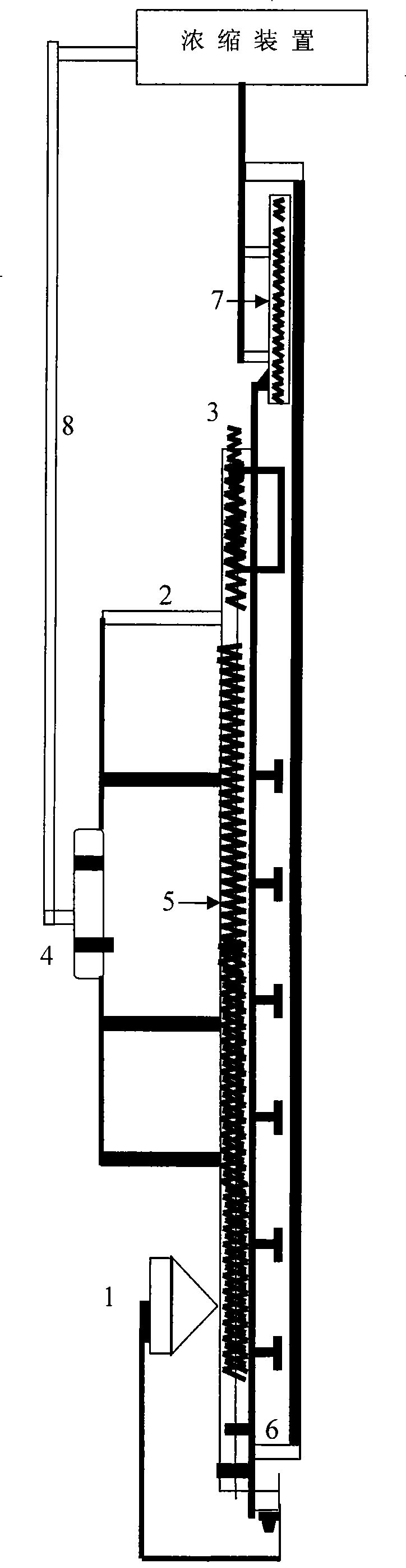 Process for extracting bacterial cell coenzyme Q10