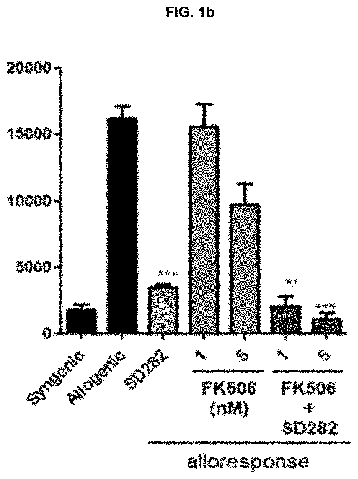 Composition for preventing and treating transplant rejection or transplant rejection diseases, comprising novel compound and calcineurin inhibitor