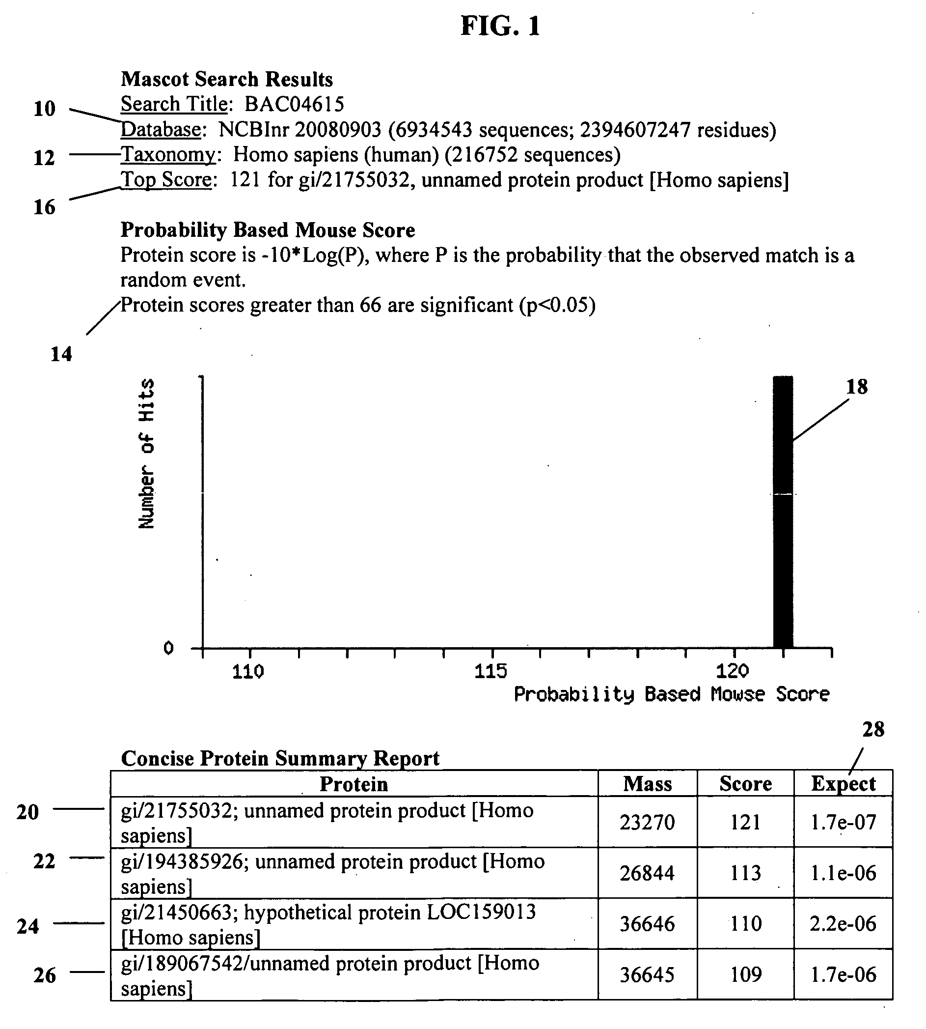 Method of identifying proteins in human serum indicative of pathologies of human lung tissues