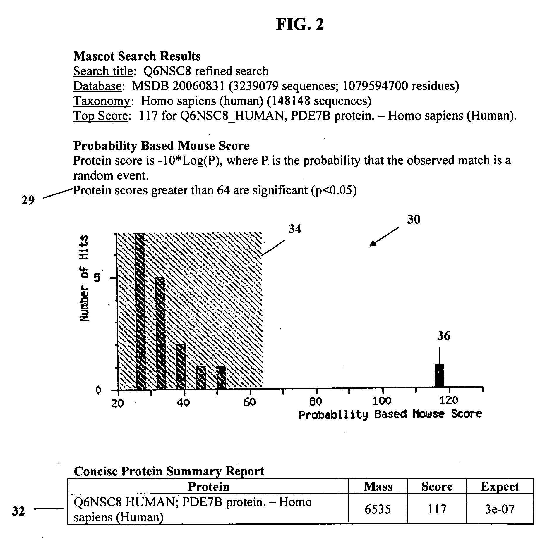 Method of identifying proteins in human serum indicative of pathologies of human lung tissues