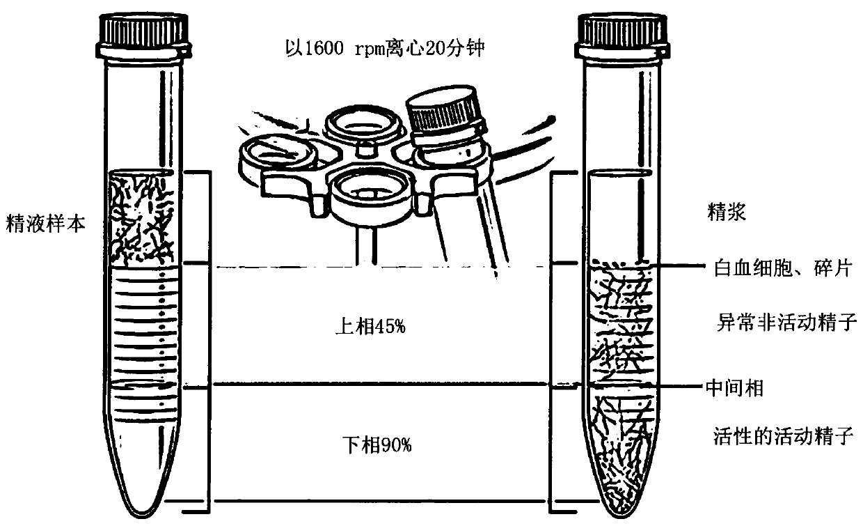 Method and system for processing biological sample