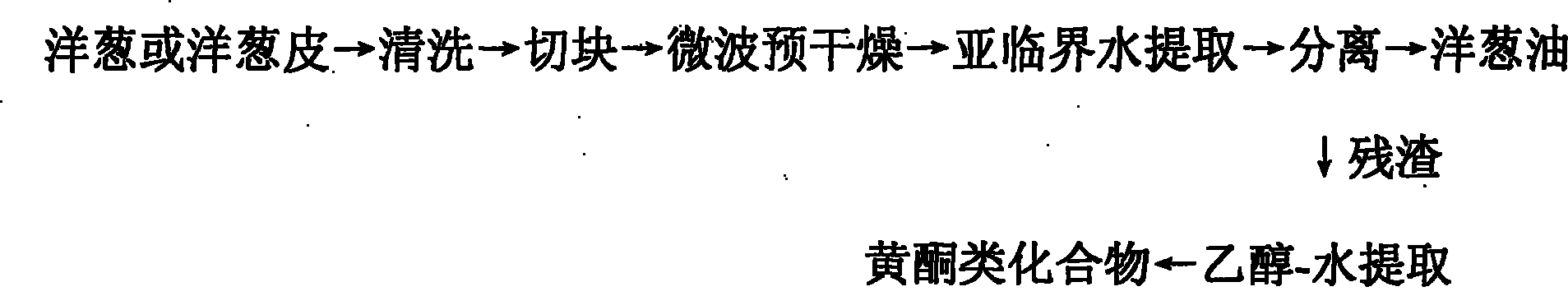 Method for preparing onion functional components by using double-stage extraction based on subcritical water and solvent method