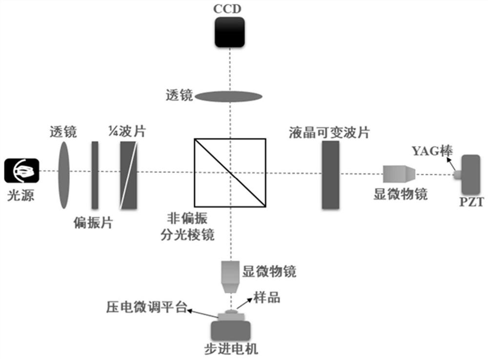 Mammal oocyte quality evaluation method based on optical property detection