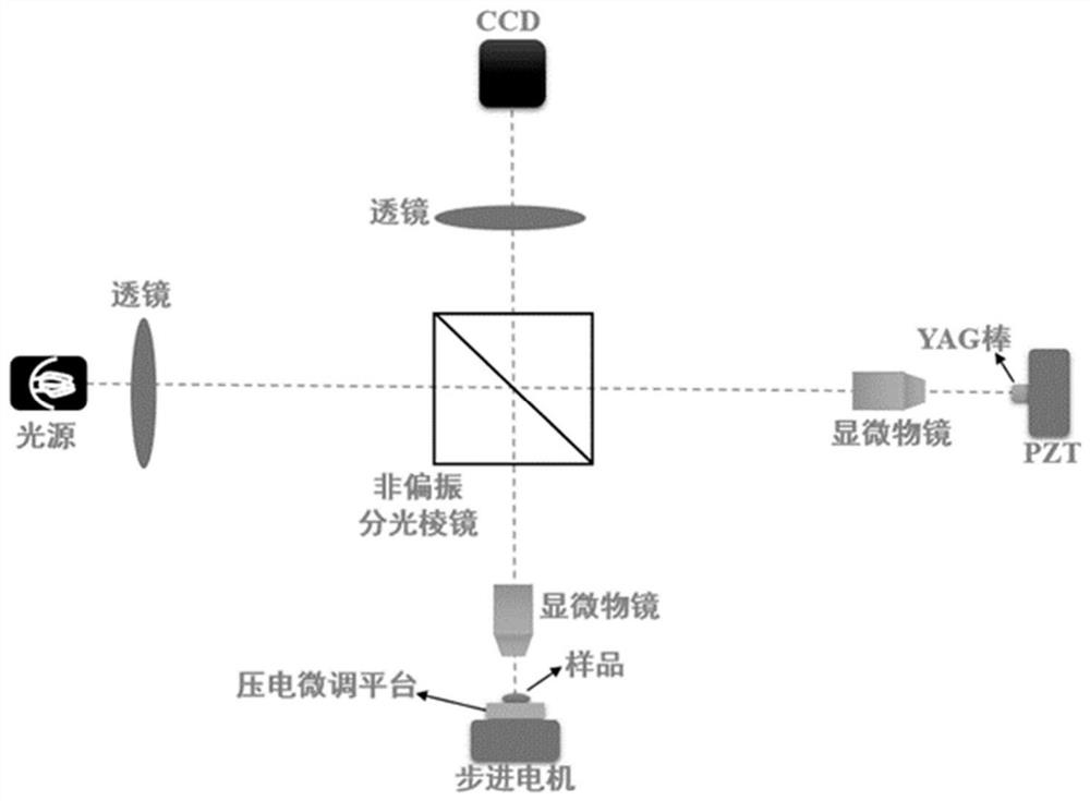 Mammal oocyte quality evaluation method based on optical property detection