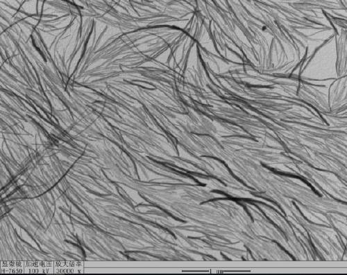 Method for efficiently preparing high-quality molybdenum disulfide nano-wires