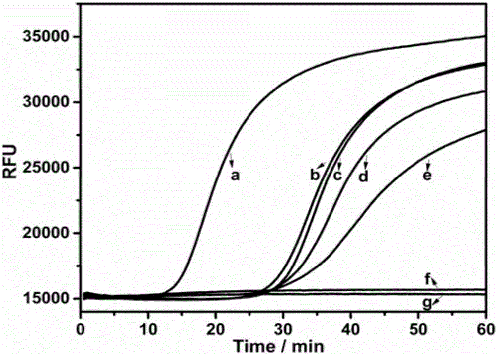 Gene mutation detection method using connection-based loop-mediated isothermal amplification technology