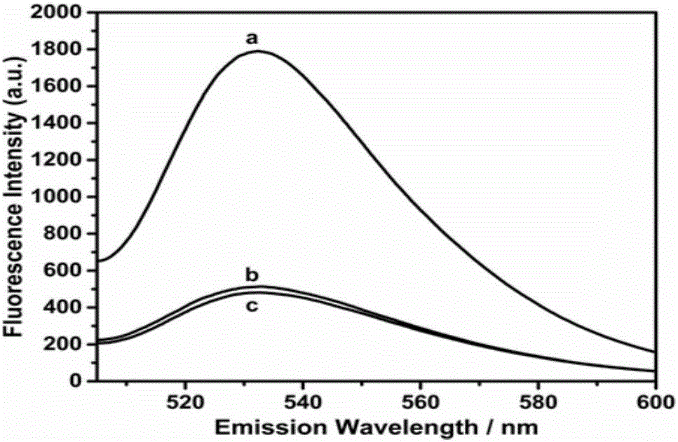 Gene mutation detection method using connection-based loop-mediated isothermal amplification technology