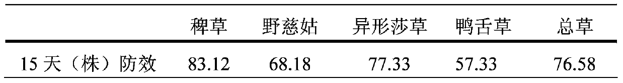 Polymer-coated controlled release pesticide granule and preparation method thereof