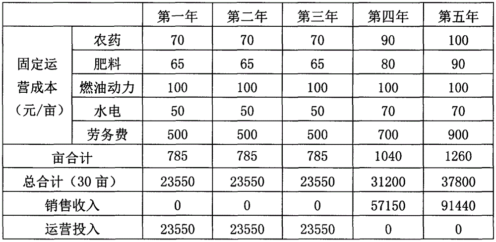 Method for establishing apple orchard by stock high-position tongue grafting