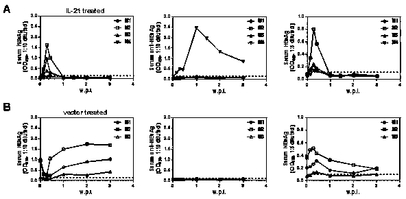 Application of interleukin 21 (IL-21) in preparation of anti-hepatitis B virus (HBV) medicine preparations