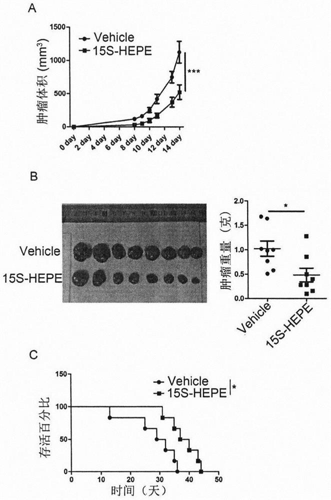 New application of 15S-HEPE in enhancing T cell mediated tumor immunotherapy