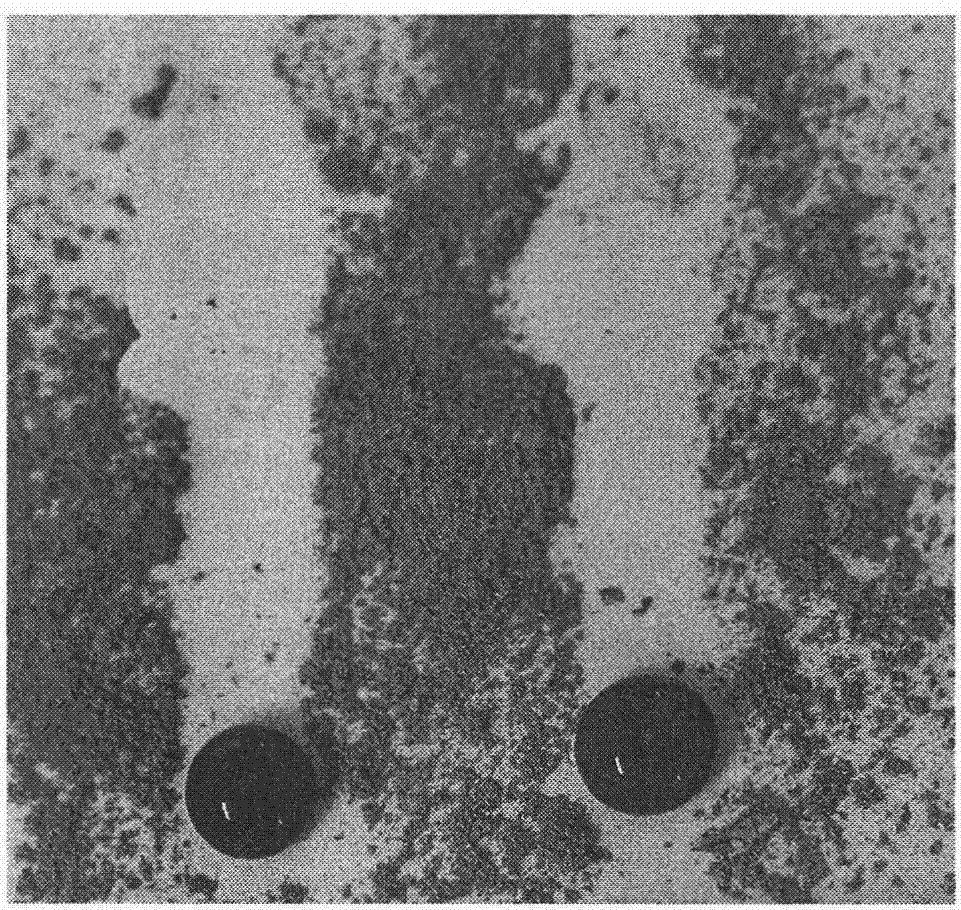 Polyvinylidene fluoride super-hydrophobic self-cleaning coating and preparation method thereof