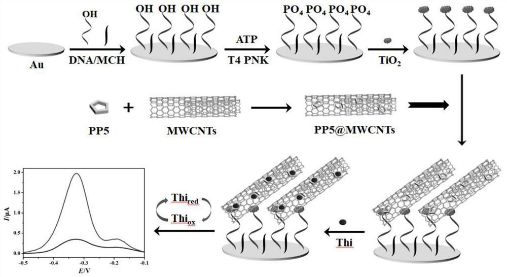 Method for determining activity of T4 polynucleotide kinase based on phosphate pillar [5] arene and carbon nanotube composite material