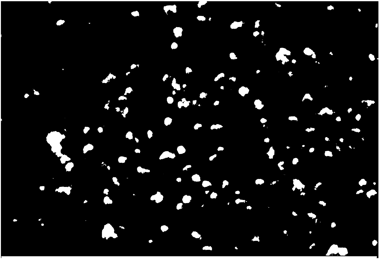 Preparation method of silver nanoparticles