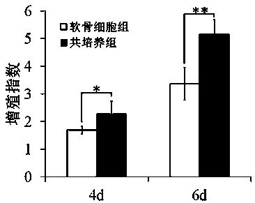 Mechanical environment culture method for improving proliferation activity of chondrocytes and maintaining phenotype of chondrocytes